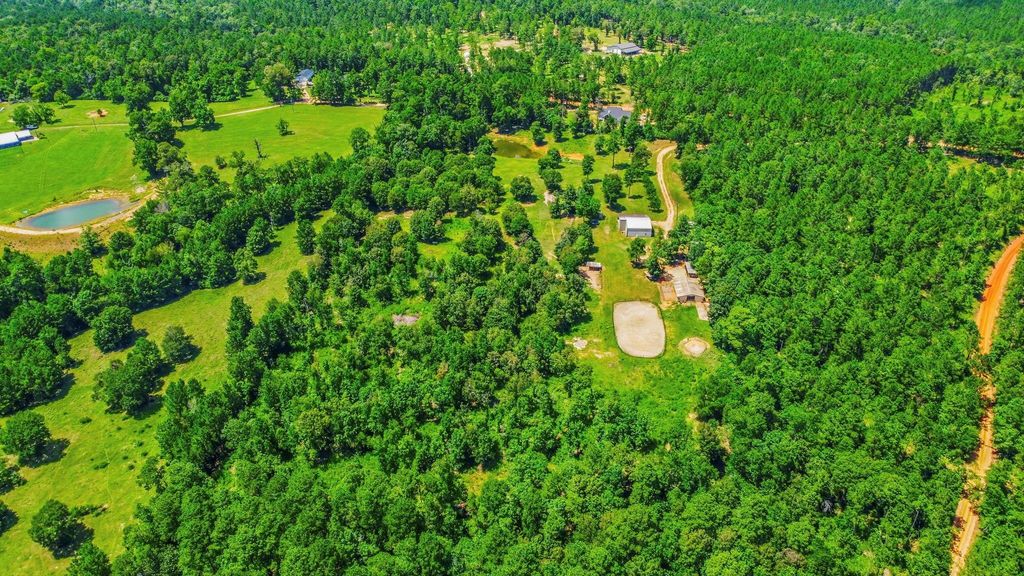 1239 Tony Peebles Road, Livingston, TX 77351