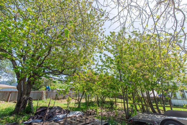 1745 Thelma Street, Fortuna, CA 95540