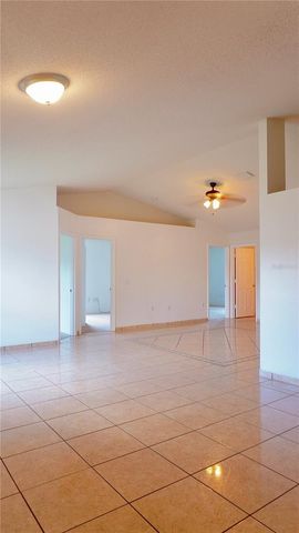1011 CANNES DRIVE, Kissimmee, FL 34759
