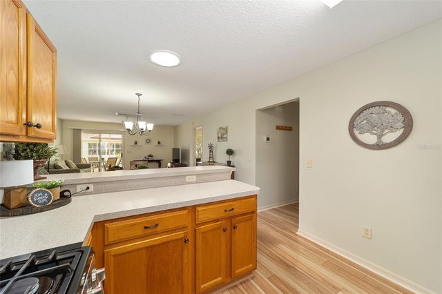 17040 SE 96TH CHAPELWOOD CIRCLE, The Villages, FL 32162