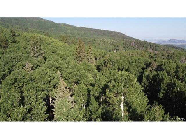 5331 Hull Rd, Fort Garland, CO 81133