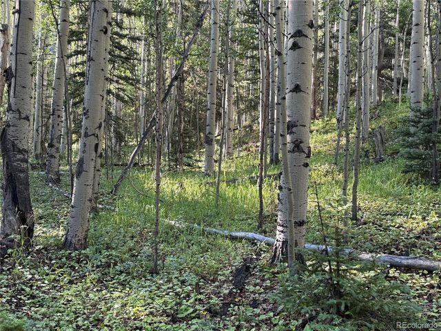 5331 Hull Rd, Fort Garland, CO 81133