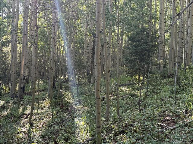 5331 Hull Rd, Fort Garland, CO 81133