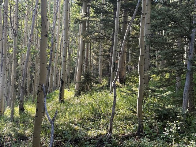 5331 Hull Rd, Fort Garland, CO 81133