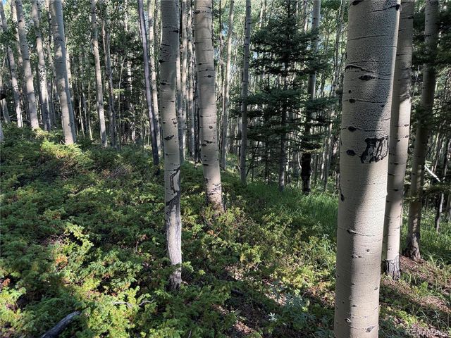 5331 Hull Rd, Fort Garland, CO 81133