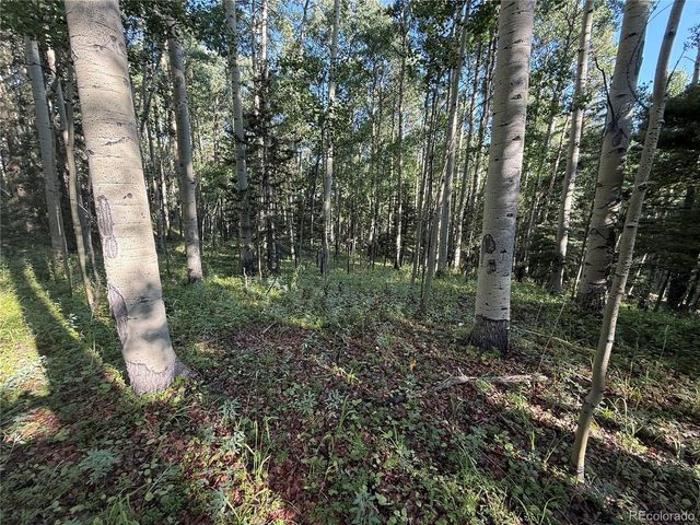 5331 Hull Rd, Fort Garland, CO 81133