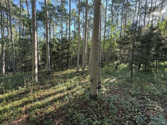 5331 Hull Rd, Fort Garland, CO 81133