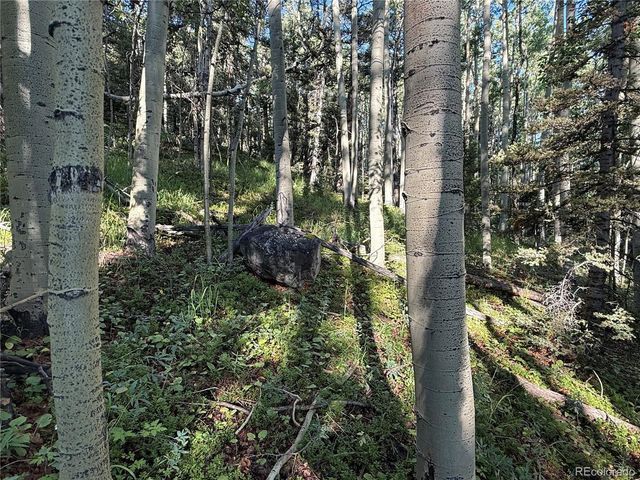 5331 Hull Rd, Fort Garland, CO 81133