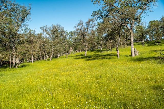 8591 Hogan Dam Rd, Valley Springs, CA 95252