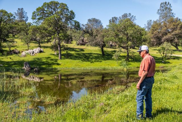 8591 Hogan Dam Rd, Valley Springs, CA 95252