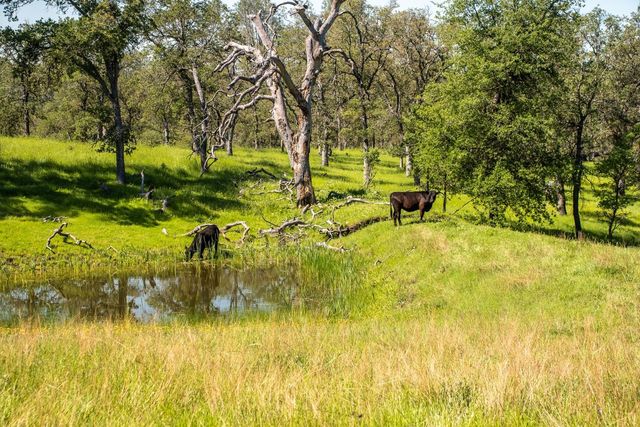 8591 Hogan Dam Rd, Valley Springs, CA 95252