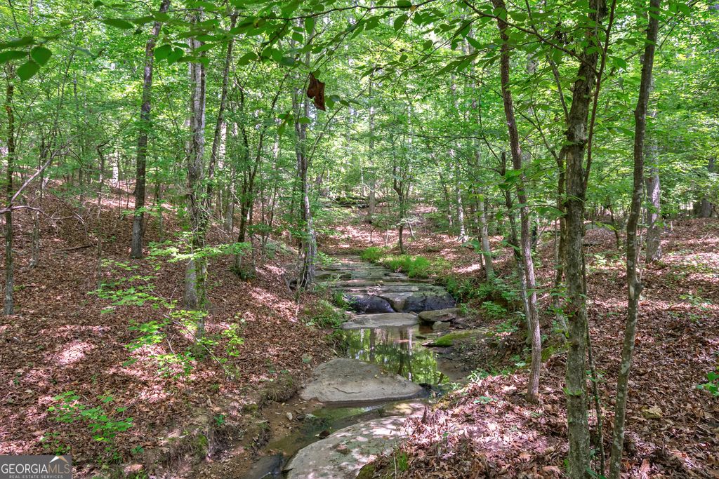 0 Gene Smith Road, Carlton, GA 30627 — exterior