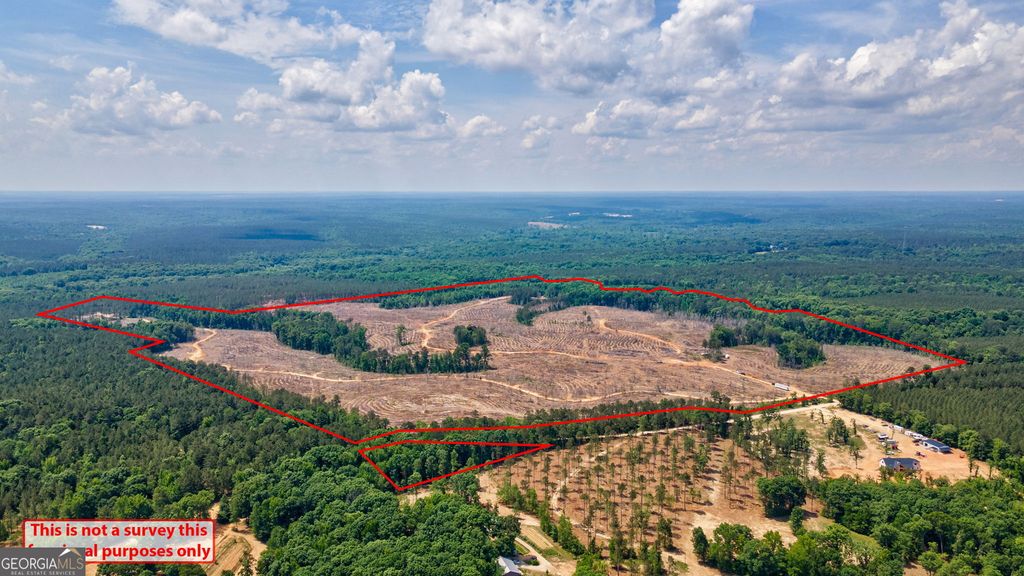 0 Gene Smith Road, Carlton, GA 30627 — photo 2