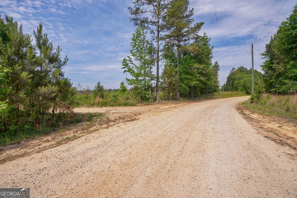 0 Gene Smith Road, Carlton, GA 30627 — photo 4
