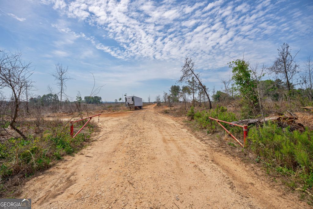 0 Gene Smith Road, Carlton, GA 30627 — photo 5