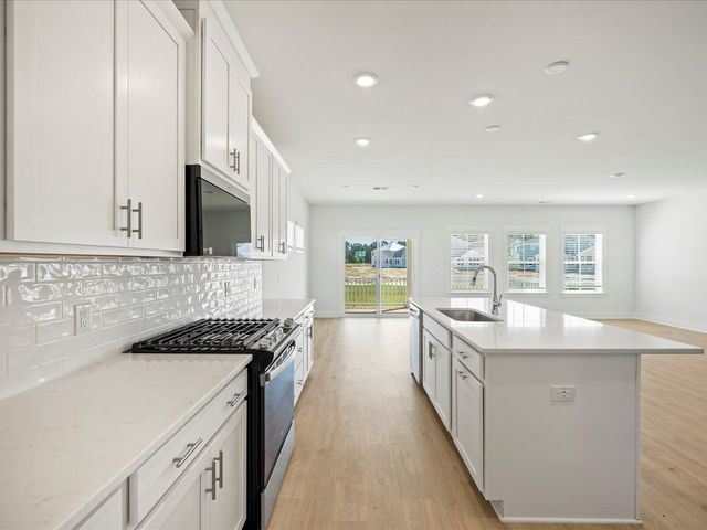 438 Radiant Blue Way, Summerville, SC 29486