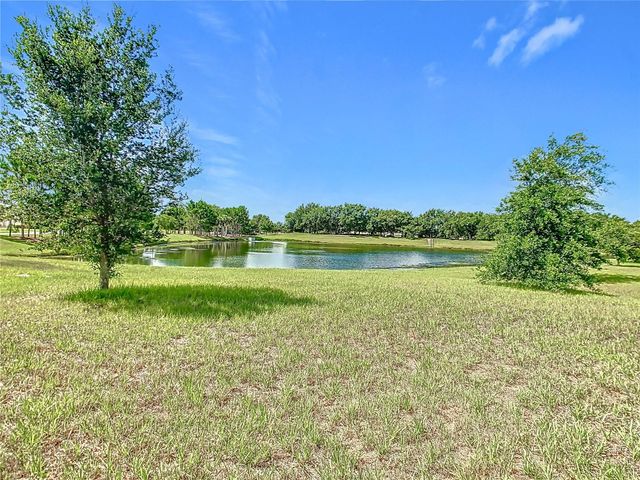 3231 AGOSTINO TER, Kissimmee, FL 34746