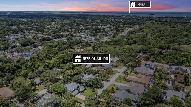 1575 QUAIL DRIVE, Dunedin, FL 34698