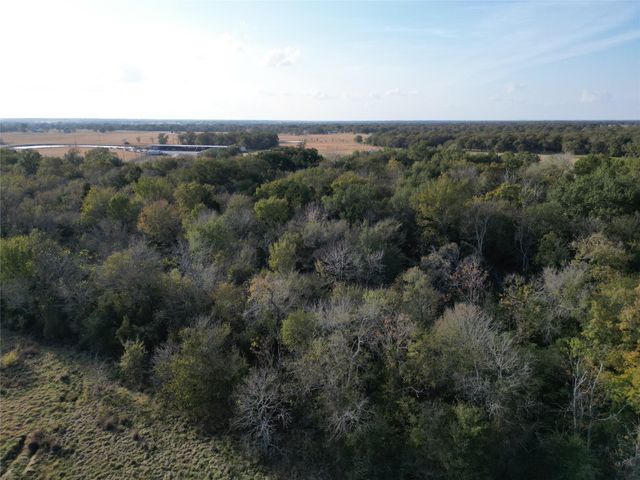 10.25 Acres Mustang Loop, Madisonville, TX 77864