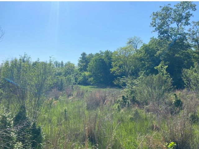 10.25 Acres Mustang Loop, Madisonville, TX 77864