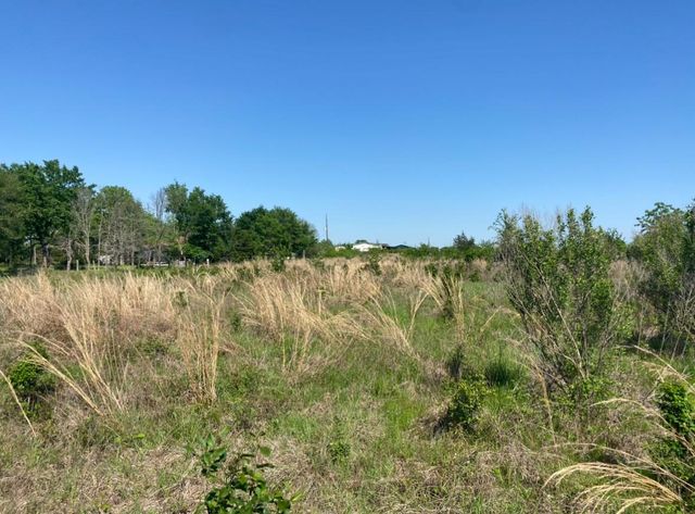 10.25 Acres Mustang Loop, Madisonville, TX 77864