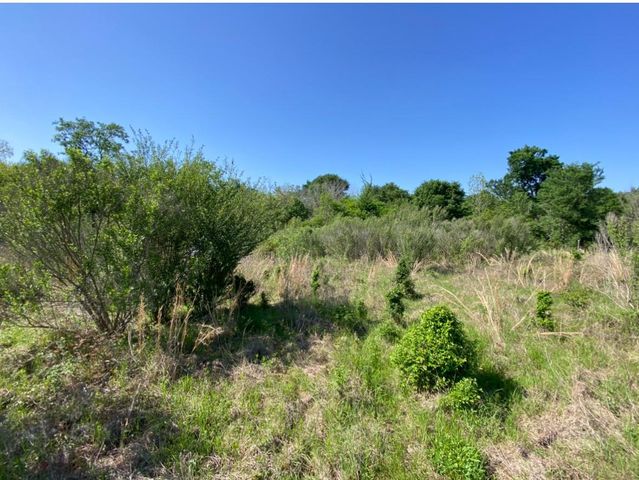 10.25 Acres Mustang Loop, Madisonville, TX 77864