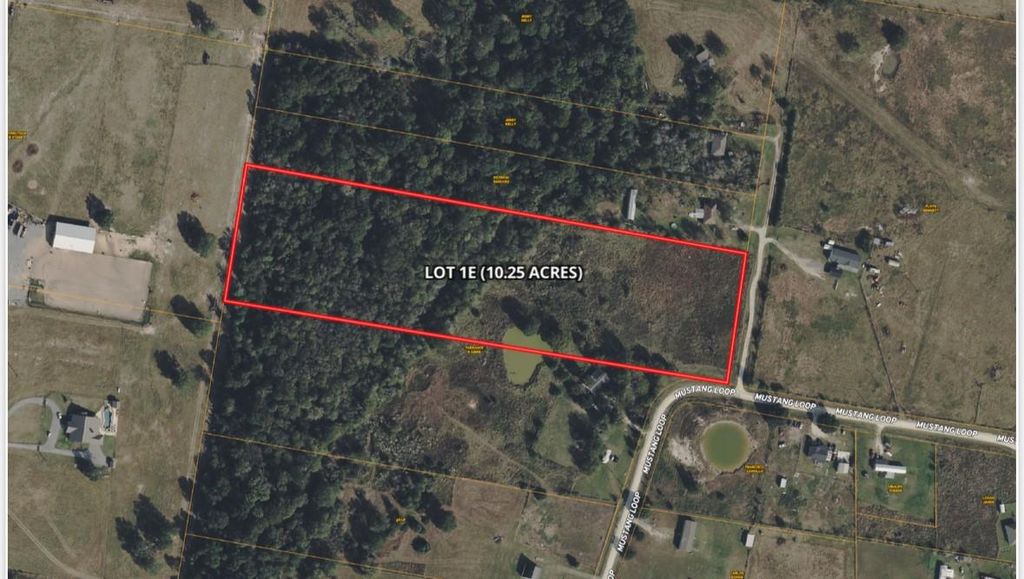 10.25 Acres Mustang Loop, Madisonville, TX 77864