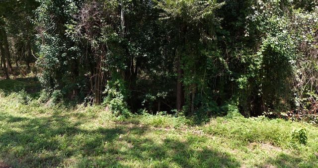 00 Cherry Creek Road, Dayton, TX 77535