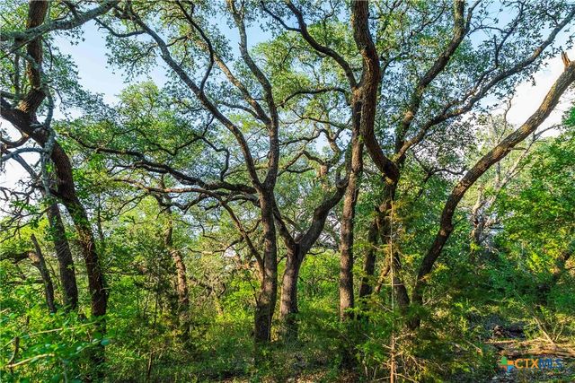 12175 N US Hwy 183, Florence, TX 76527