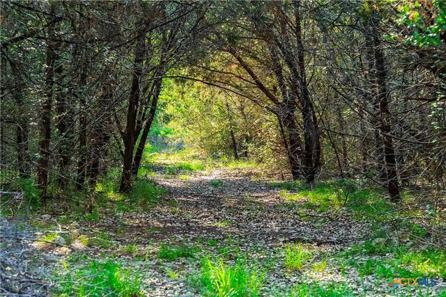 12175 N US Hwy 183, Florence, TX 76527