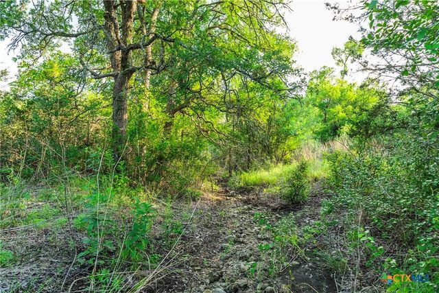 12175 N US Hwy 183, Florence, TX 76527