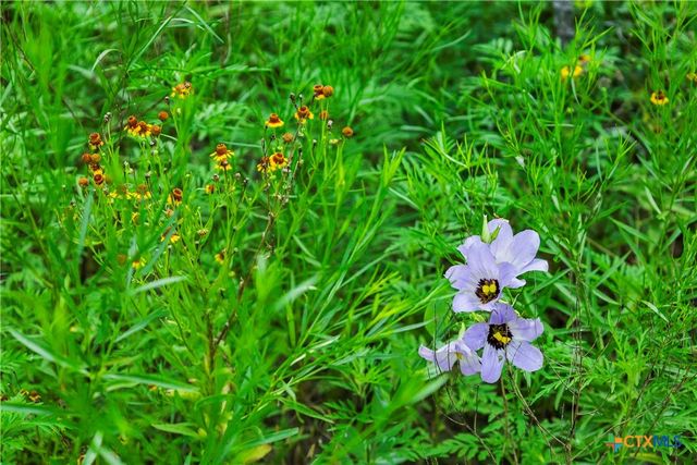 12175 N US Hwy 183, Florence, TX 76527