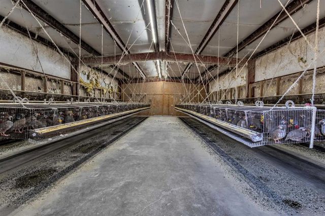 35683 Breezy Lane, Ranchita, CA 92066