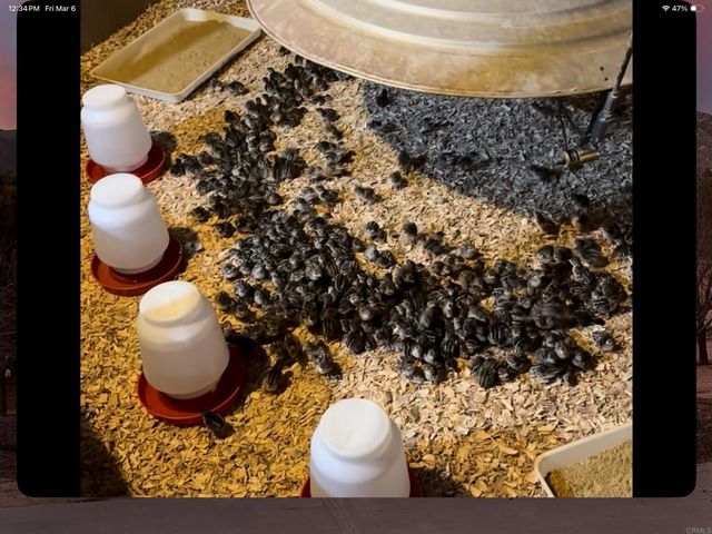 35683 Breezy Lane, Ranchita, CA 92066