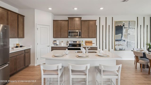 11238 Duckling Way, Weeki Wachee, FL 34613