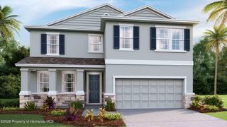 11238 Duckling Way, Weeki Wachee, FL 34613