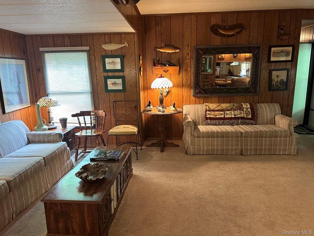 46 Elm Hollow Road, Livingston Manor, NY 12758