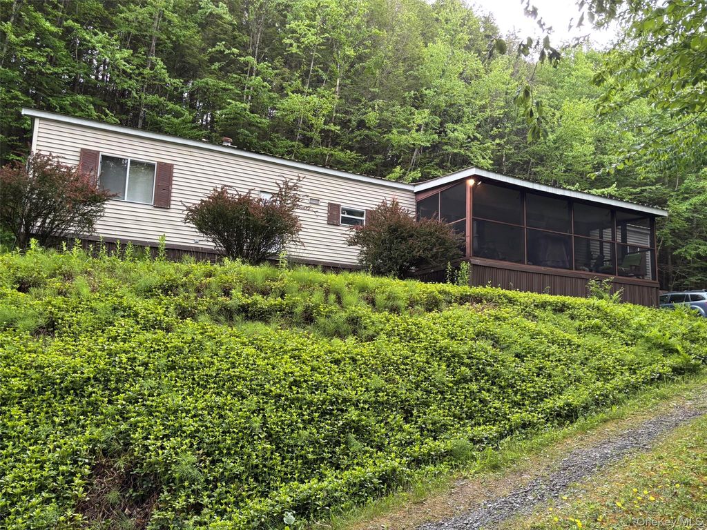 46 Elm Hollow Road, Livingston Manor, NY 12758