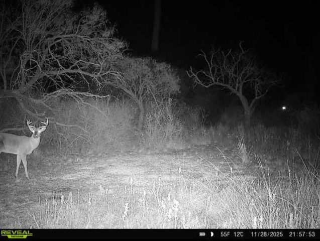 TBD 6.25 Acres County Road 149, Brownwood, TX 76801