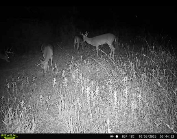 TBD 6.25 Acres County Road 149, Brownwood, TX 76801