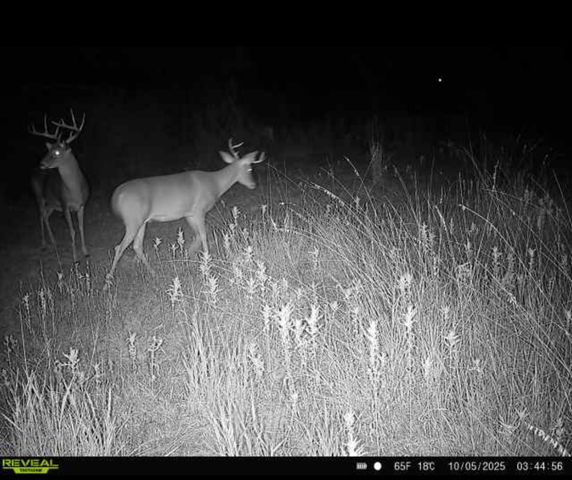 TBD 6.25 Acres County Road 149, Brownwood, TX 76801