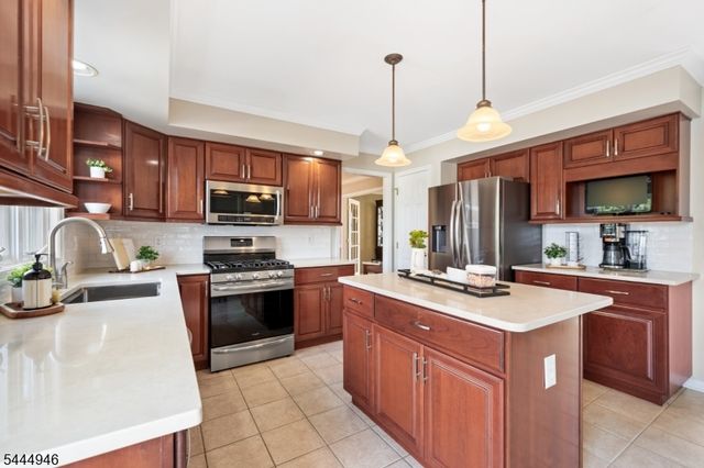 13 Matrick Ct, Hillsborough Twp., NJ 08844