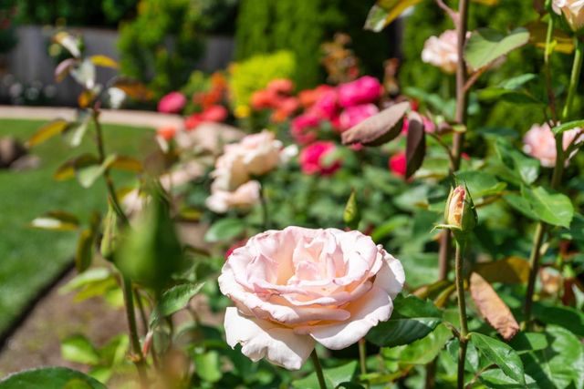 7439 Woodside Dr, Stockton, CA 95207