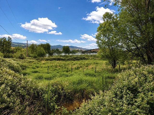 258 Cabbage Lane, Phoenix, OR 97535