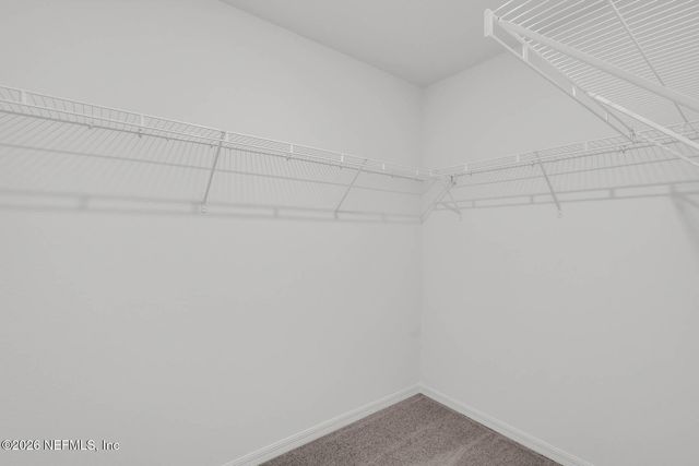 12459 BIG JUNIPER Drive, Jacksonville, FL 32219