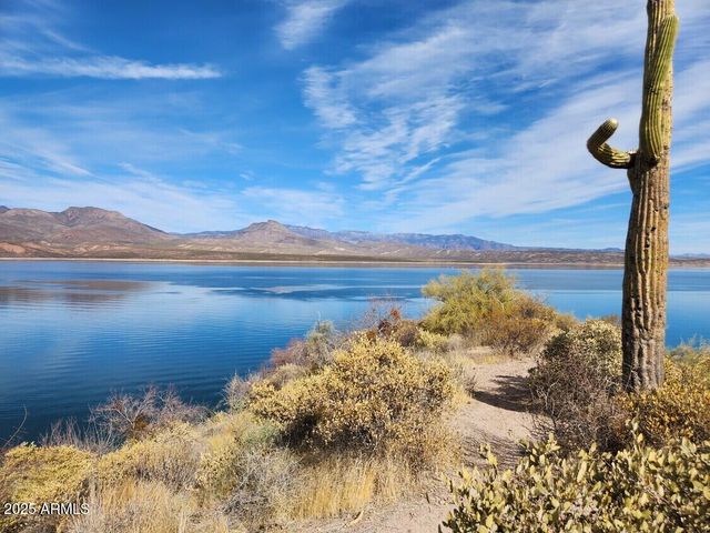 249 S OLD HIGHWAY 188 --, Tonto Basin, AZ 85553