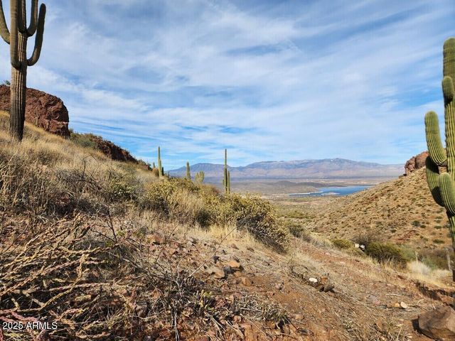 249 S OLD HIGHWAY 188 --, Tonto Basin, AZ 85553