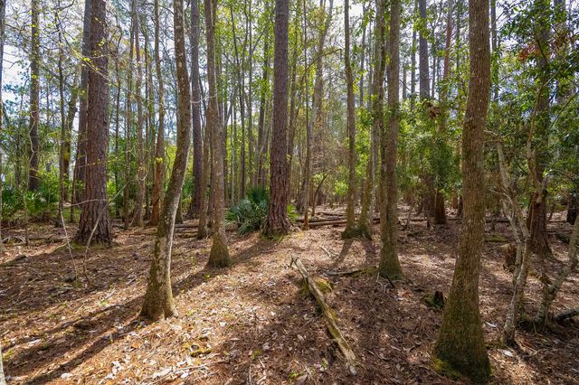 4040 Red Pine Ln, St Augustine, FL 32086