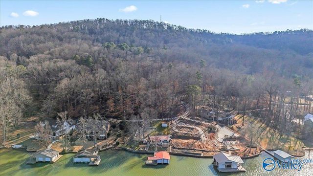 4408 Leaning Beech Drive, Guntersville, AL 35976
