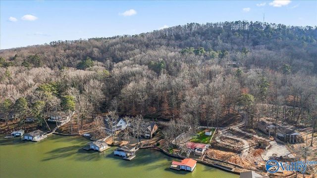 4408 Leaning Beech Drive, Guntersville, AL 35976